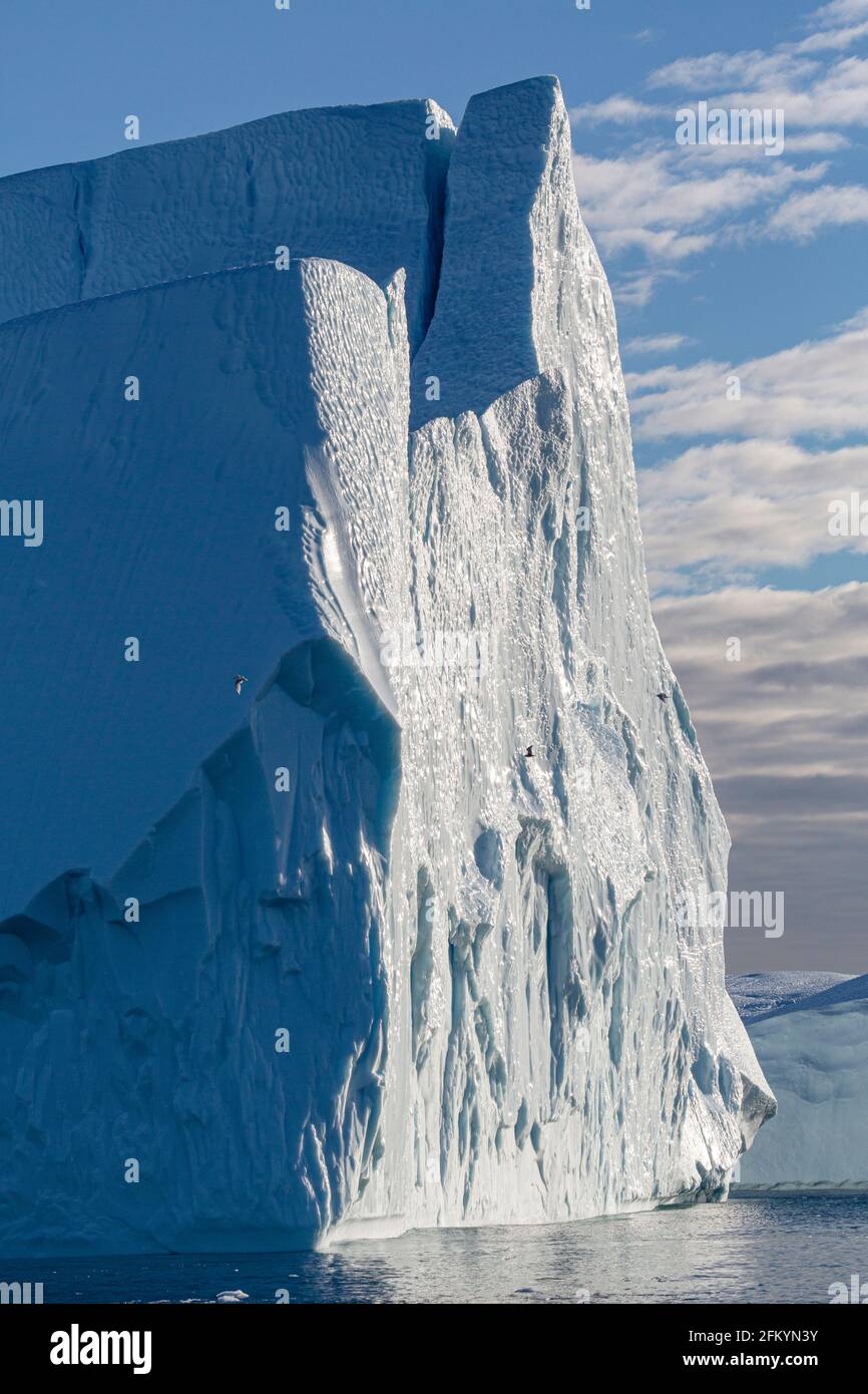 Des icebergs massifs ont été calés du glacier Jakobshavn Isbræ, site classé au patrimoine mondial de l'UNESCO, Ilulissat, Groenland. Banque D'Images