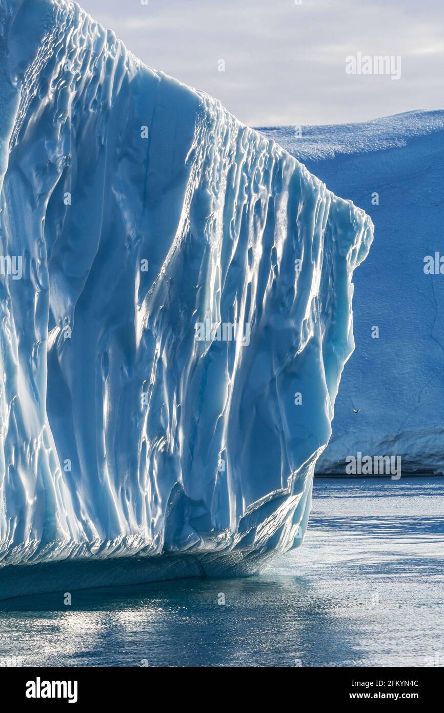 Des icebergs massifs ont été calés du glacier Jakobshavn Isbræ, site classé au patrimoine mondial de l'UNESCO, Ilulissat, Groenland. Banque D'Images