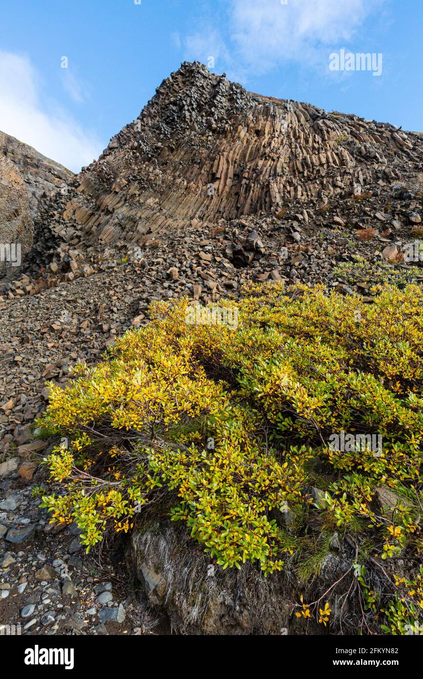 Toundra ouverte et basalte columnaire à Brededal, sur l'île Disko, à Qeqertarsuaq, dans la baie de Baffin, au Groenland. Banque D'Images