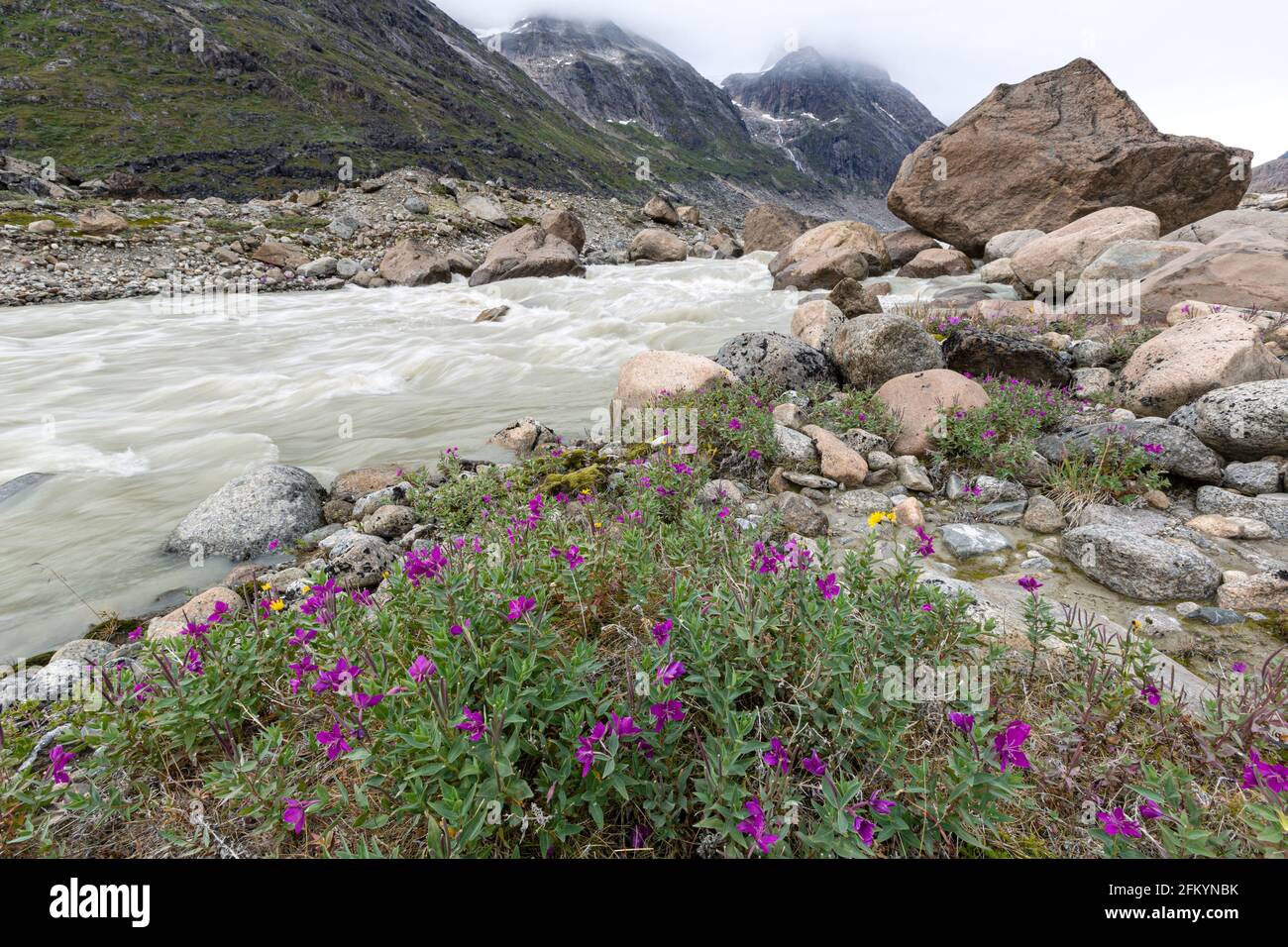 Les beautés de la rivière bordent le bord d'une rivière d'eau de fusion du glacier Igdlorssuit, Prins Christian Sund, Groenland. Banque D'Images