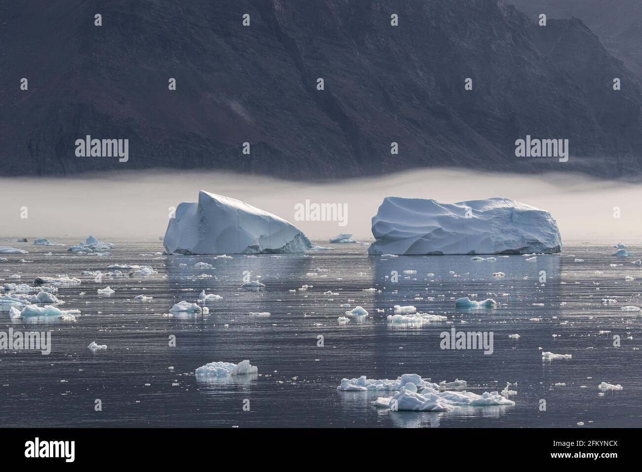 La glace de mer et les icebergs ont vêlé du glacier Christian IV, dans le fjord Nansen, à l'est du Groenland. Banque D'Images