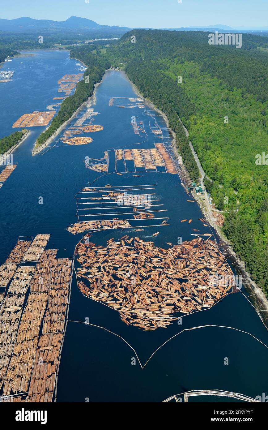 Des booms forestiers ont été greffés dans le port de Ladysmith pour Western Forest Products, Colombie-Britannique, Canada. Banque D'Images