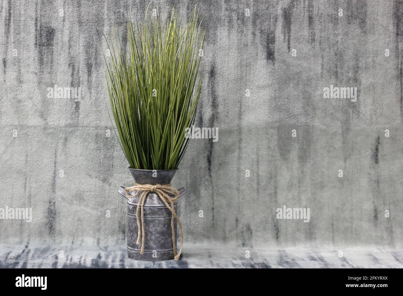 Laiteux rustique galvanisé, avec de l'herbe de verdure, sur fond gris Banque D'Images