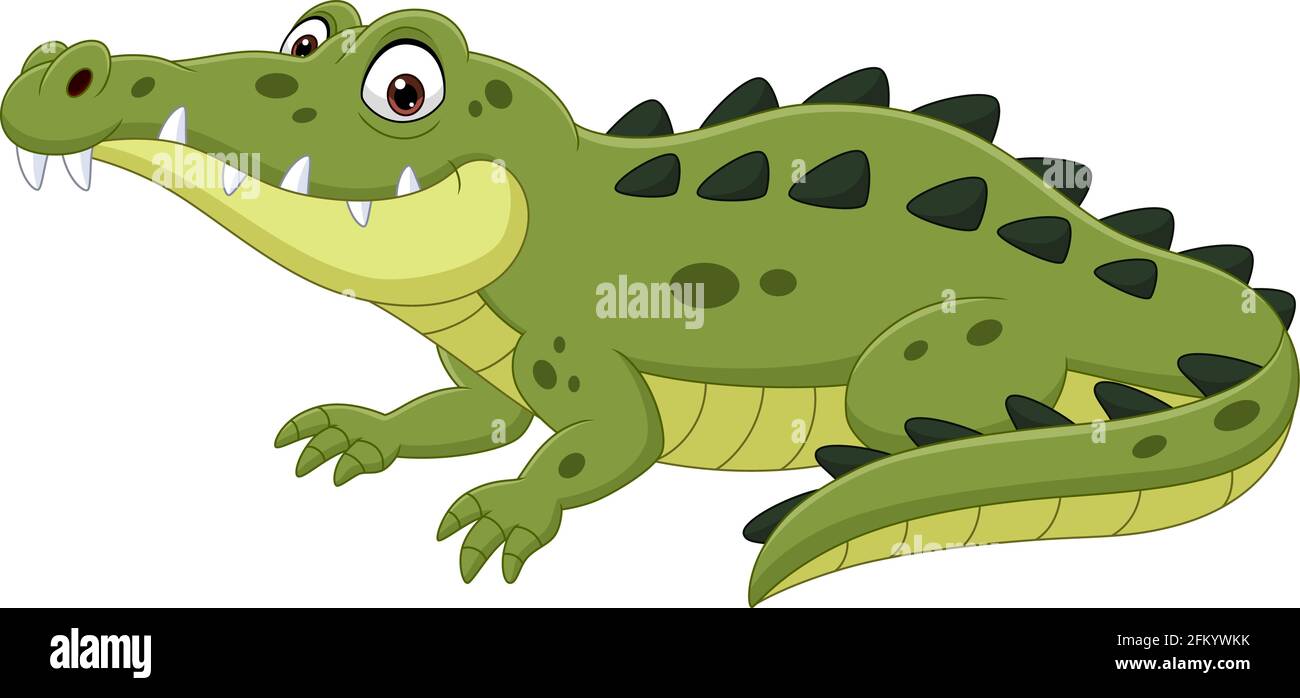 Crocodile dessin animé isolé sur fond blanc Illustration de Vecteur