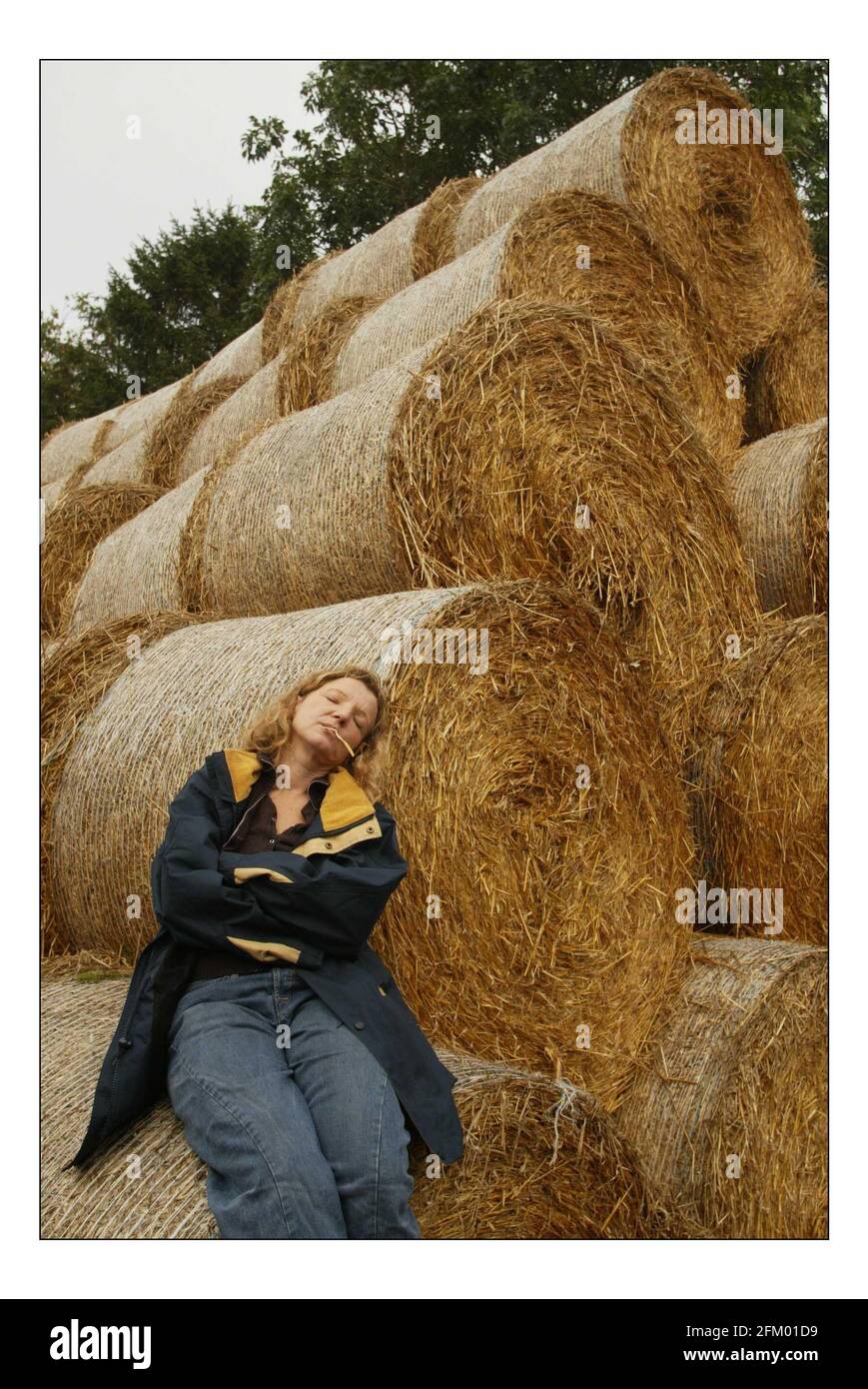 Deborah Ross passe la journée à travailler sur la ferme du Prince de Galles : ferme duché, ferme Broadfield, Tetbury.pic David Sandison 11/10/2005 Banque D'Images