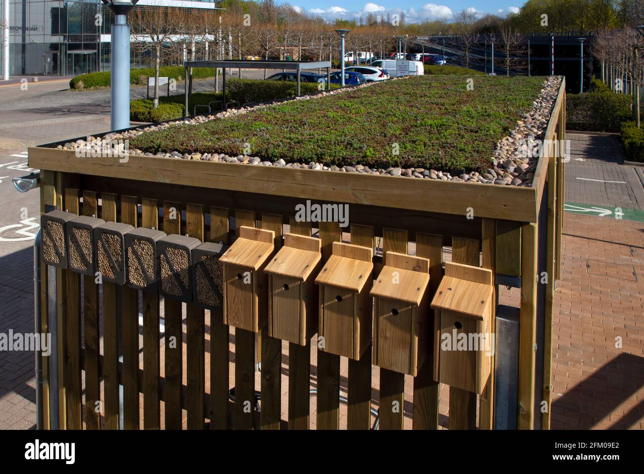 Espace de stockage de vélos verts sur le complexe de bureaux, toit de Sedum, boîtes à oiseaux, hôtels d'insectes, Oxford, Angleterre Banque D'Images