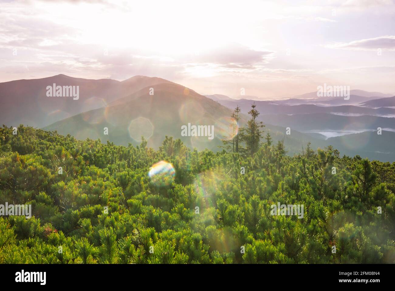 Beaux paysages naturels dans les montagnes carpathes Banque D'Images