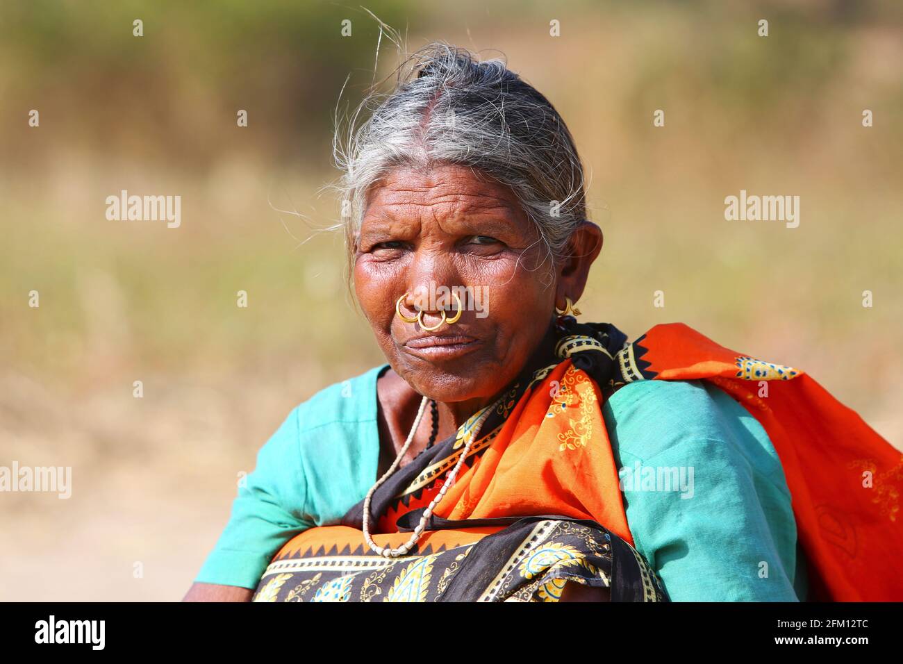 Vieille femme - anneaux de nez - bijoux - Bondaguda Village, Araku, Andhra Pradesh, Inde. TRIBU KUTIA Banque D'Images