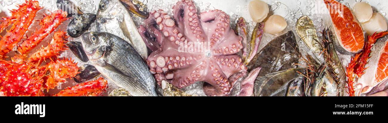 Ensemble de divers fruits de mer frais crus - pieuvre, crabe, calmar, crevettes, huître, moules, saumon thon dorada poisson avec épices d'herbes citron, dos blanc Banque D'Images