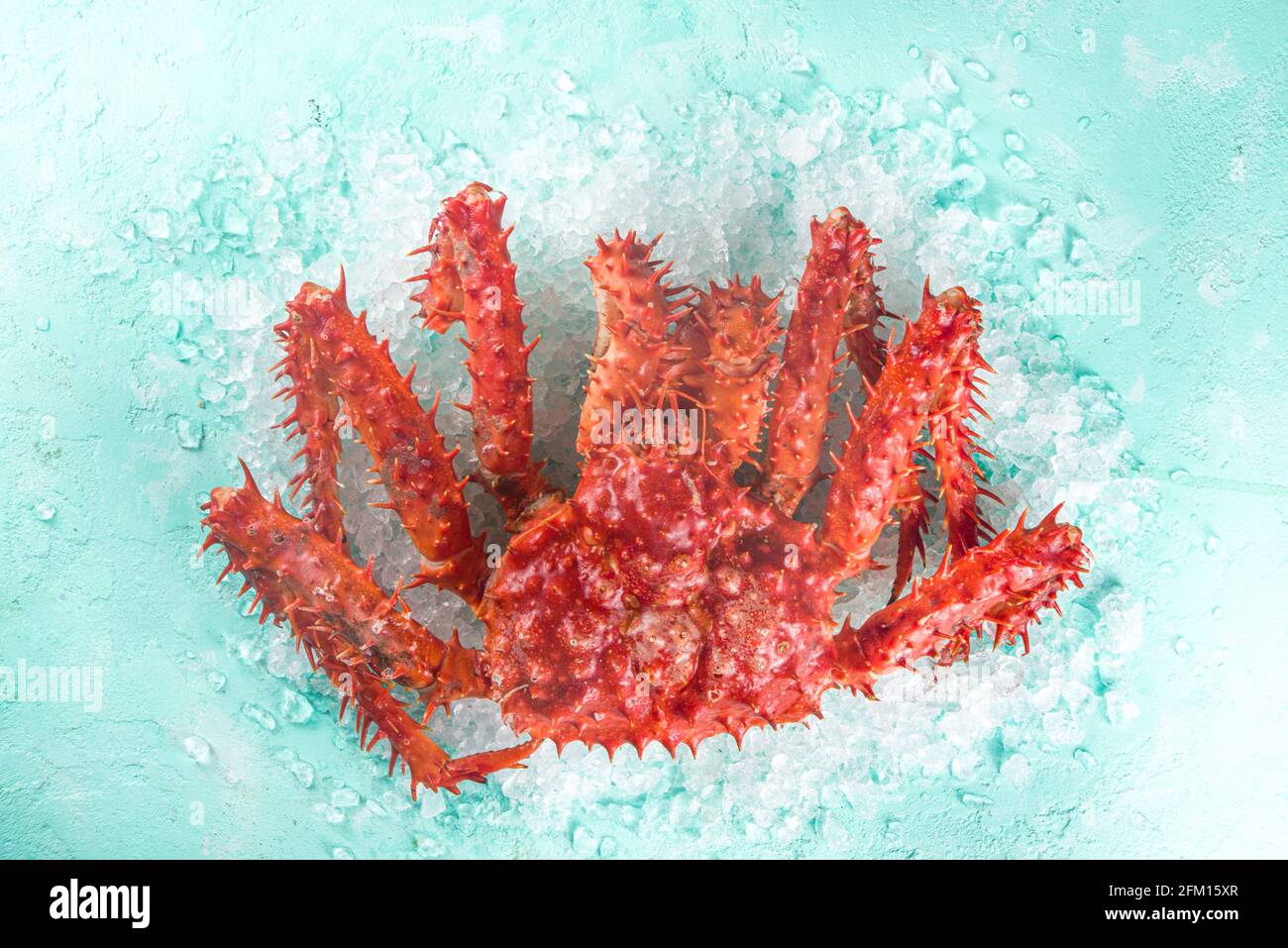 Ensemble de divers fruits de mer frais crus - pieuvre, crabe, calmar, crevettes, huître, moules, saumon thon dorada poisson avec épices d'herbes citron, bleu clair Banque D'Images