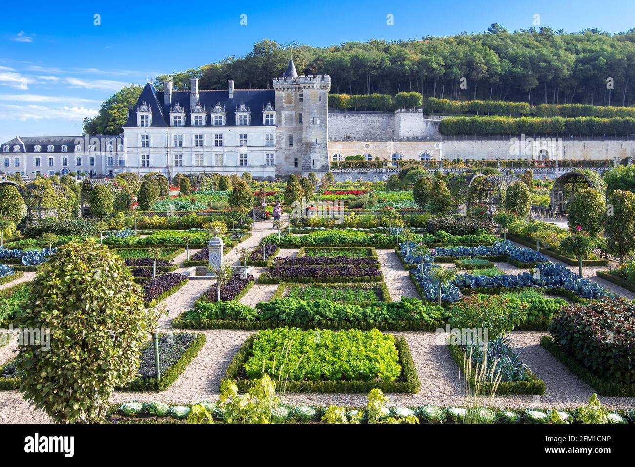 Château et jardins de Villandry, vallée de la Loire Banque D'Images