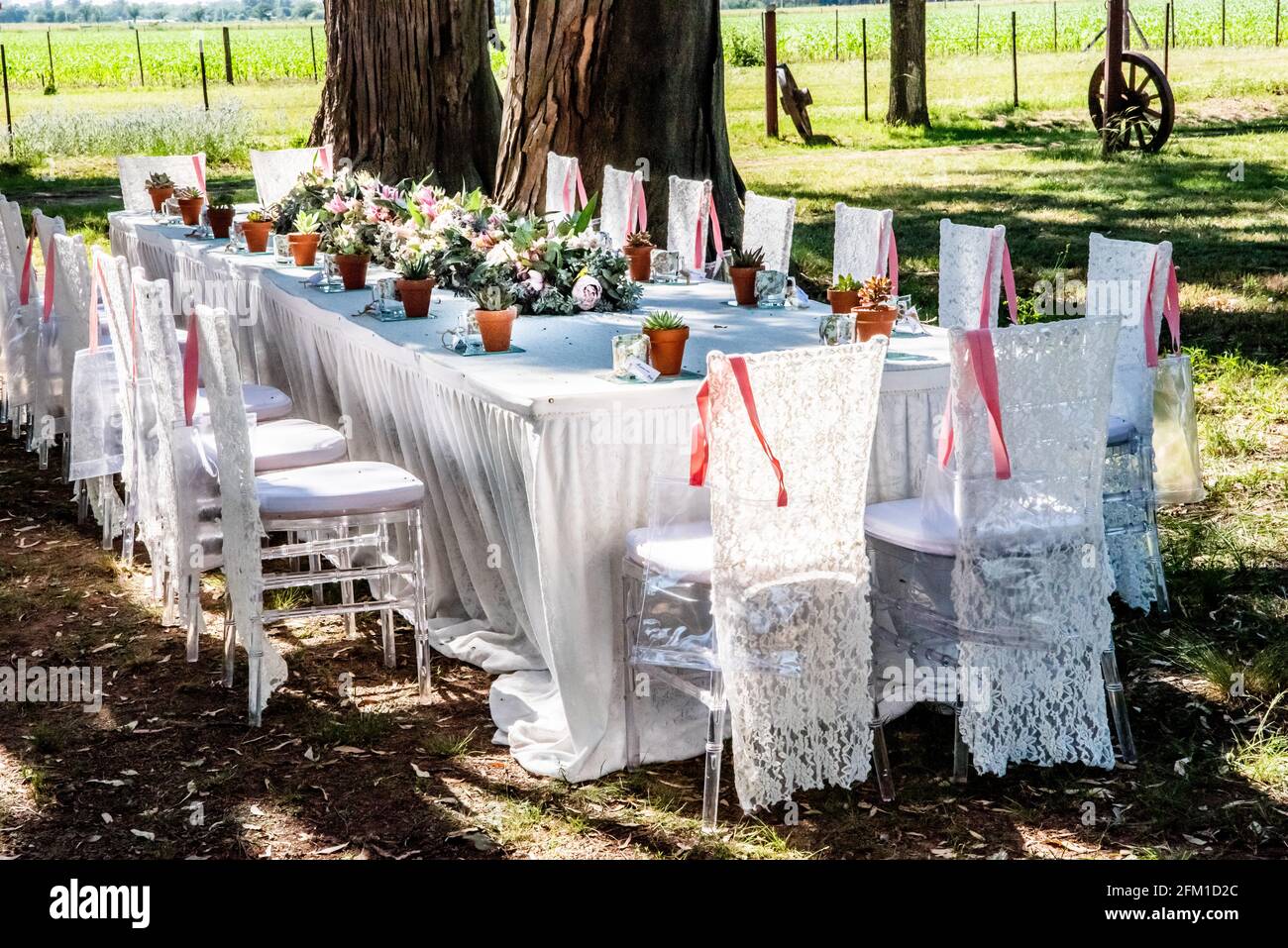 Decoración artesanal para tus fiestas, con silla plásticas en forma de cristal, tela de encaje, mesa de dulce, en cualquier lugar Banque D'Images