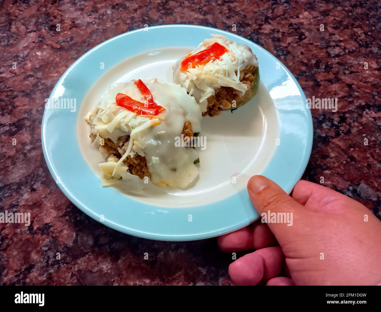 Zapallitos (variété Argentine de citrouille) fourré de viande hachée et couvert de fromage mozzarella Banque D'Images