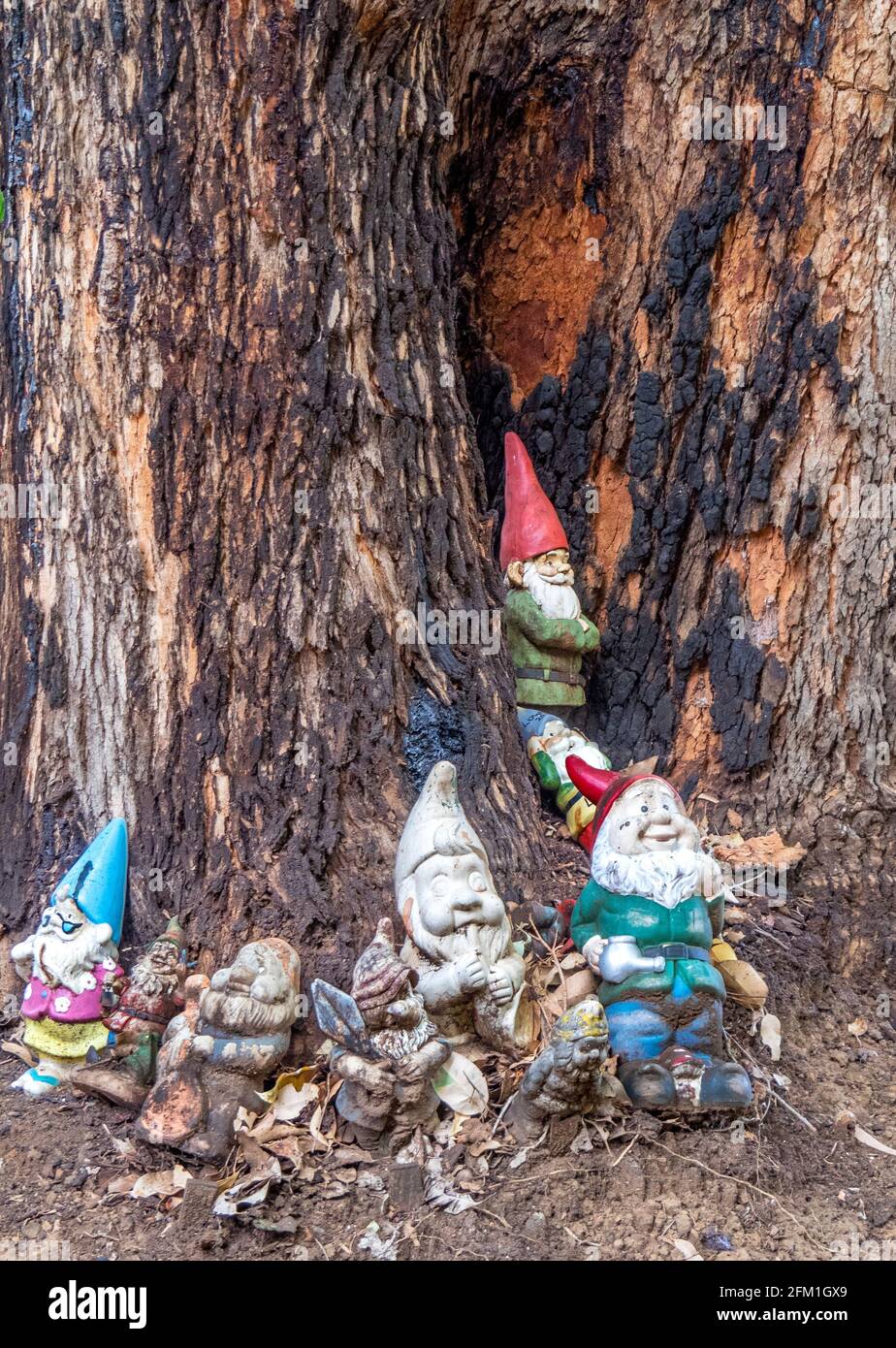 Collection d'attractions touristiques de gnomes de jardin à Gnomesville, dans la vallée de Ferguson en Australie occidentale. Banque D'Images