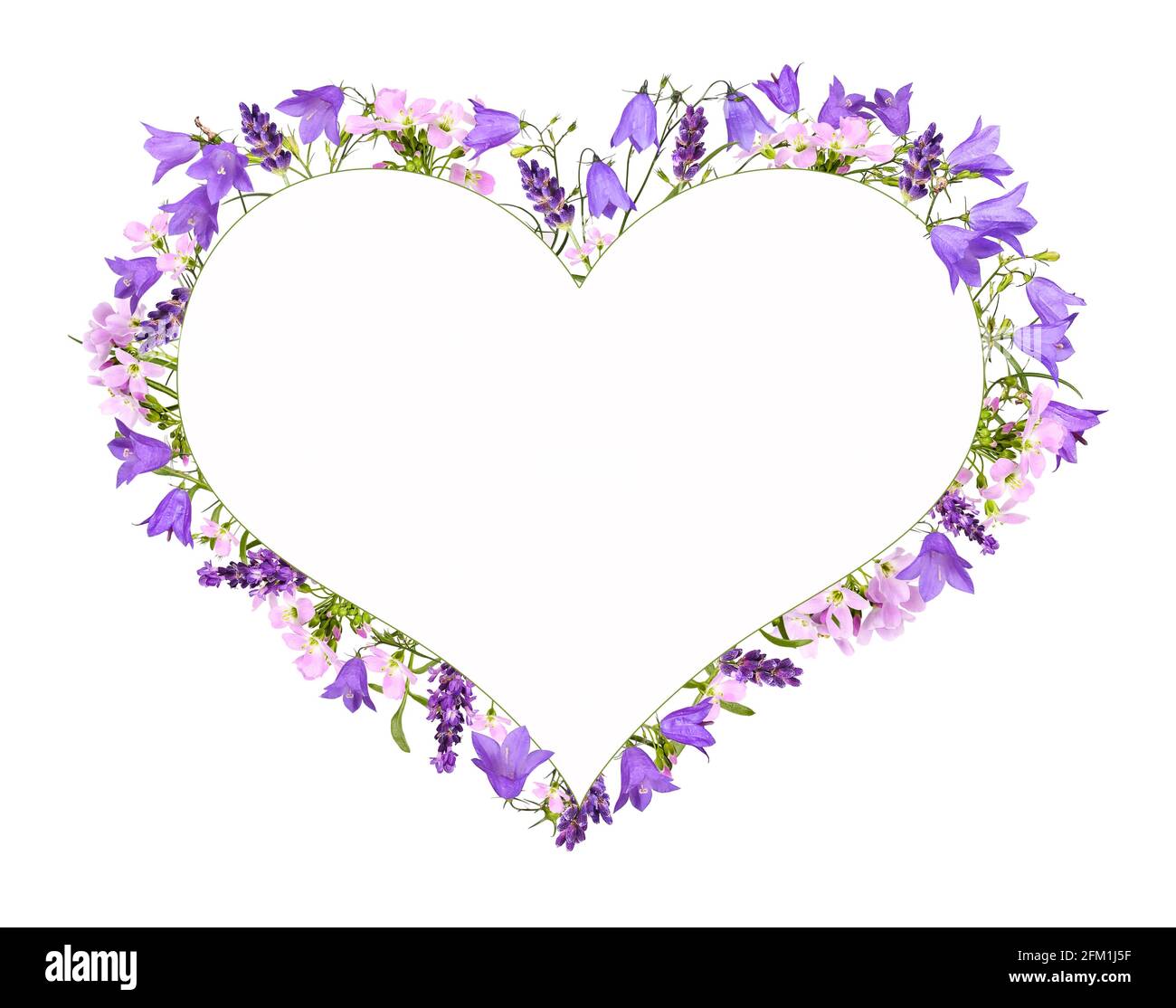 Fleurs de Bellflowers et fleurs de prairie comme cadre de coeur Banque D'Images