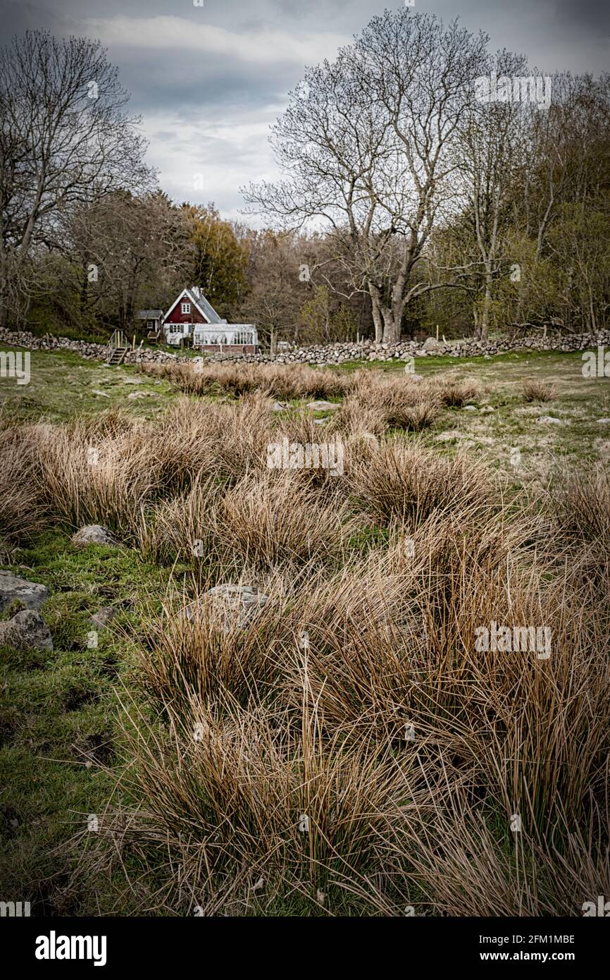 Grevie Backar est une réserve naturelle située dans la région du Skåne en Suède. Banque D'Images