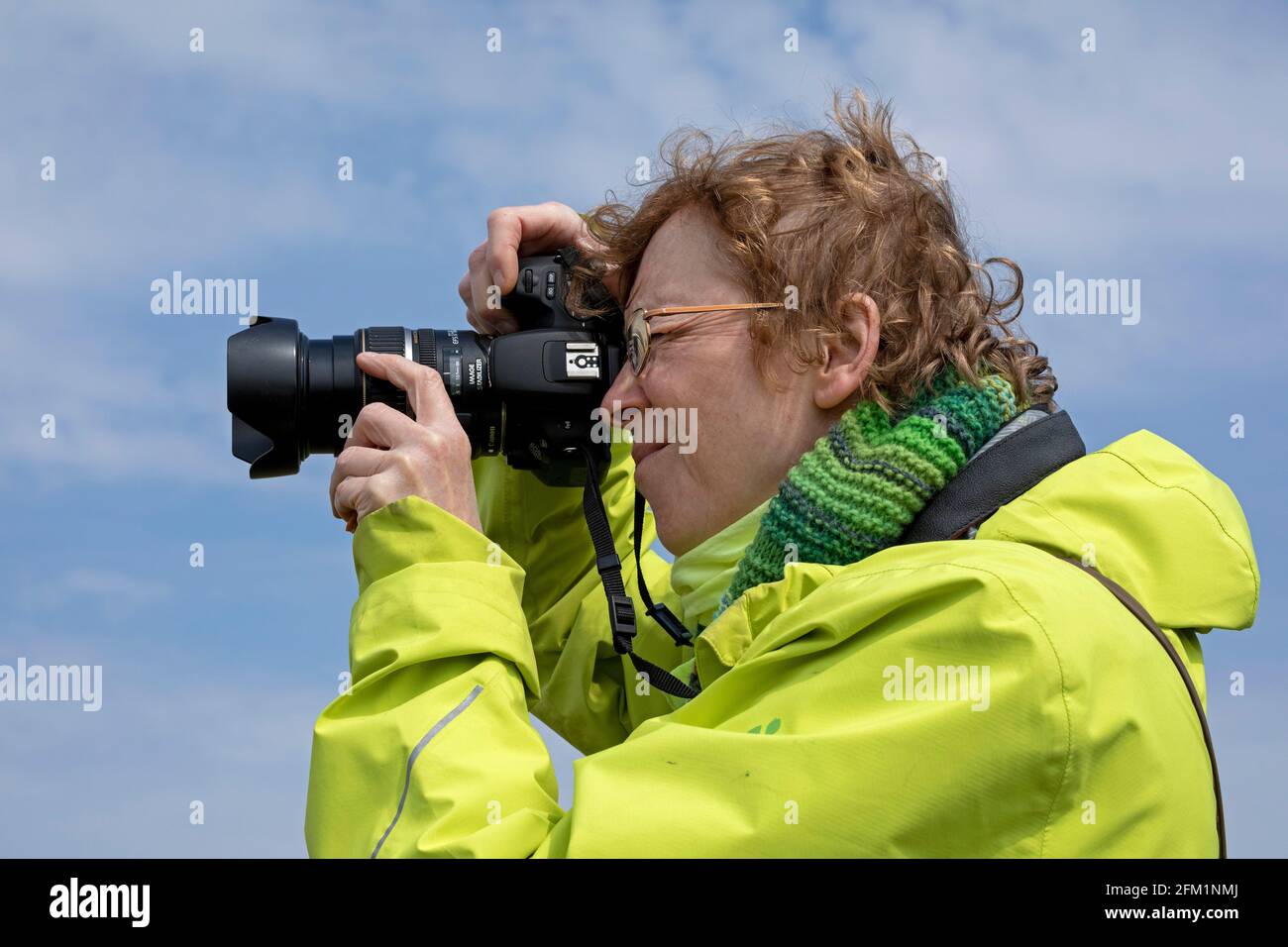 Femme prenant des photos, Réserve naturelle de Gelting Birk, Gelting Bay, Schleswig-Holstein, Allemagne Banque D'Images