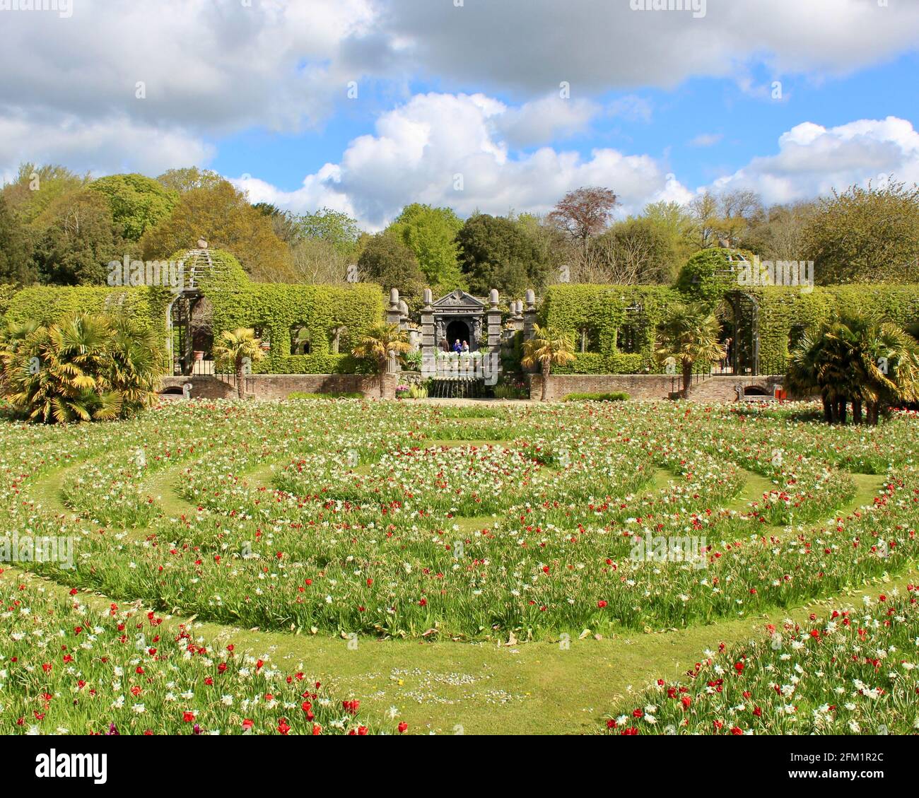 Festival des tulipes du château d'Arundel - 2021 - plantations circulaires de tulipes et de jonquilles donnant un effet de labyrinthe. Banque D'Images
