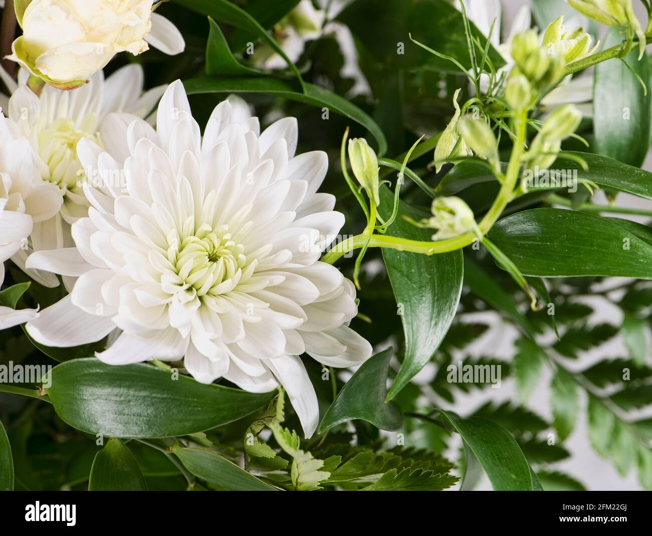 Bouquet floral avec rose blanche et chrysanthèmes blancs Banque D'Images