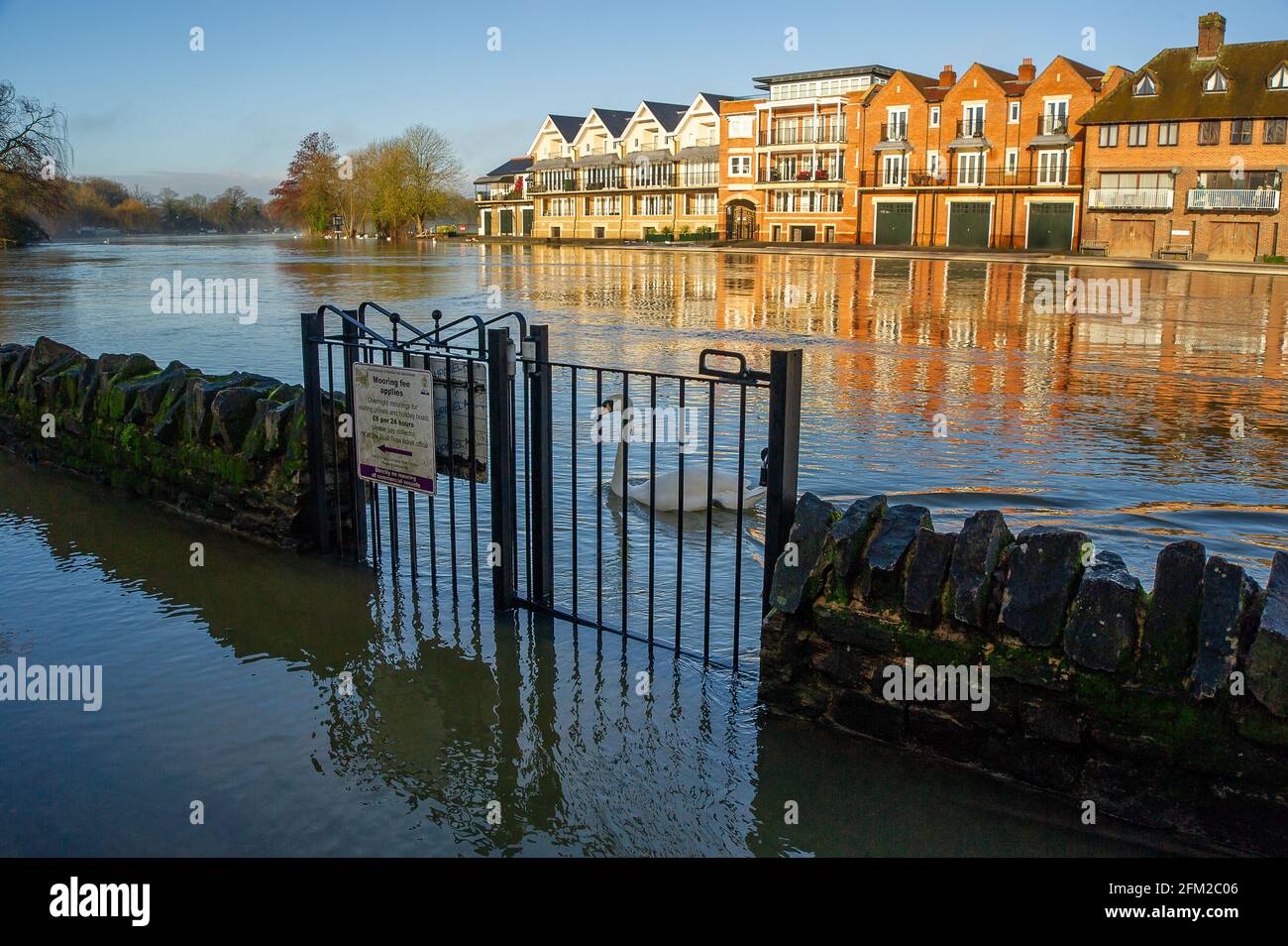 Windsor, Berkshire, Royaume-Uni. 5 février 2021. Le sentier inondé près de la Tamise. Les niveaux d'eau sur la Tamise à Windsor sont beaucoup plus élevés que d'habitude. Une alerte d'inondation demeure sur la Tamise sur le tronçon Windsor & Eton dans le Berkshire après une accumulation de fortes pluies ces derniers jours. Le système de réduction des crues de la rivière Jubliee est en cours d'exploitation, en évacuant l'excès d'eau de crue de la Tamise et en protégeant les maisons contre les inondations. Crédit : Maureen McLean/Alay Banque D'Images