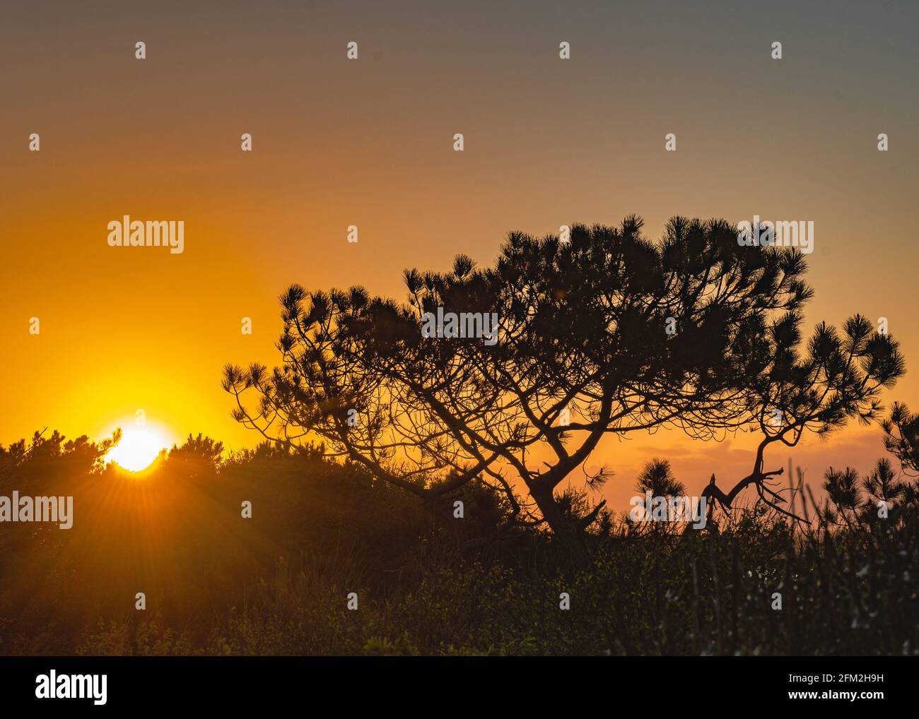 Cabanes de plage à Mudebit sur Hengitsbury Head, Dorset Banque D'Images