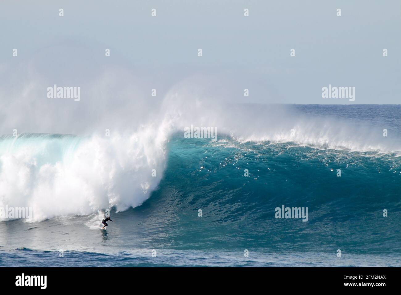 SYDNE, AUSTRALIE - 25 mai 2016 : surfeur australien descendant une vague géante à Coogee Beach entre les plages de Bondi et Maroubra au sud de Sydney A. Banque D'Images