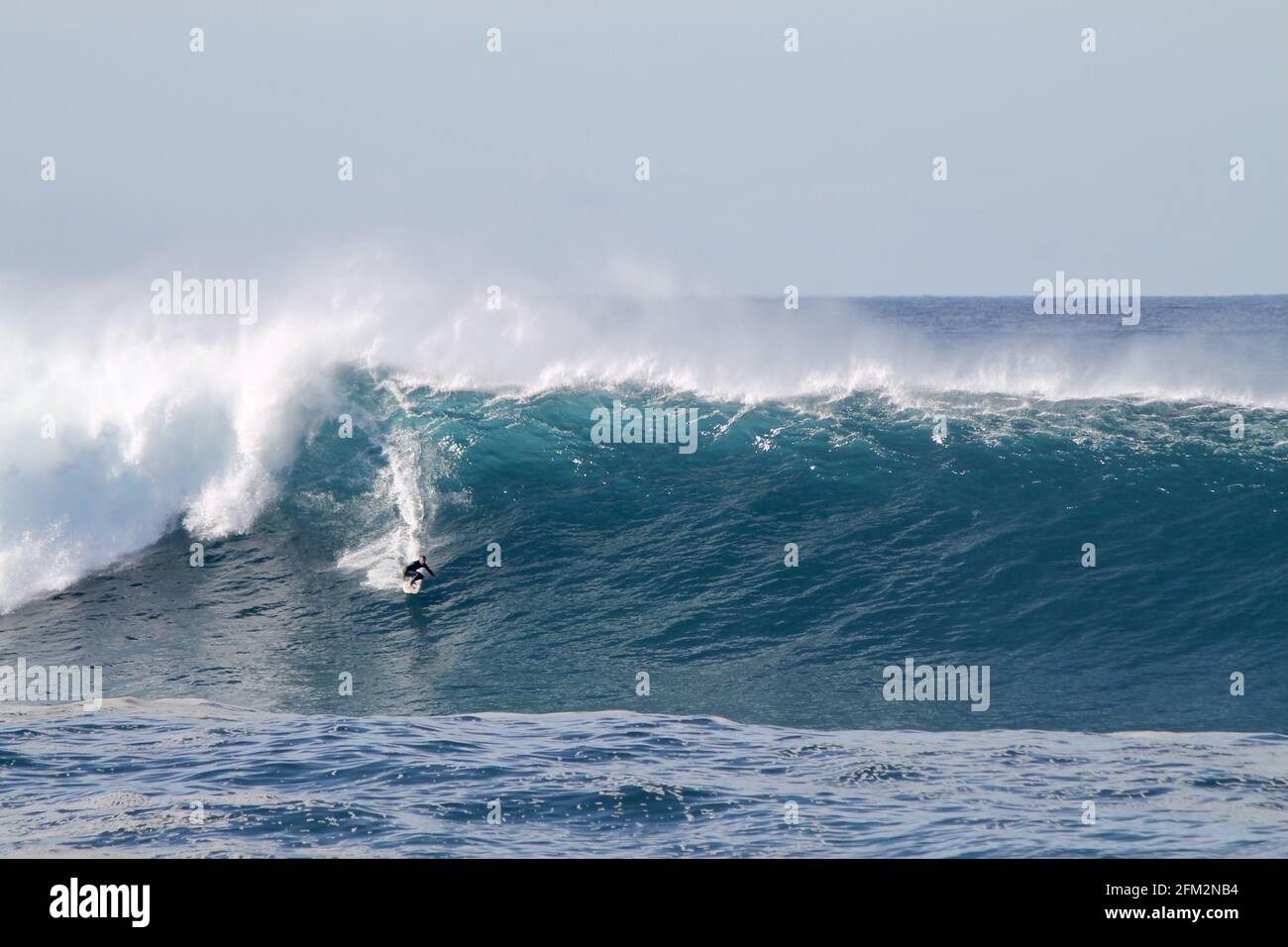 SYDNE, AUSTRALIE - 25 mai 2016 : surfeur australien descendant une vague géante à Coogee Beach entre les plages de Bondi et Maroubra au sud de Sydney A. Banque D'Images