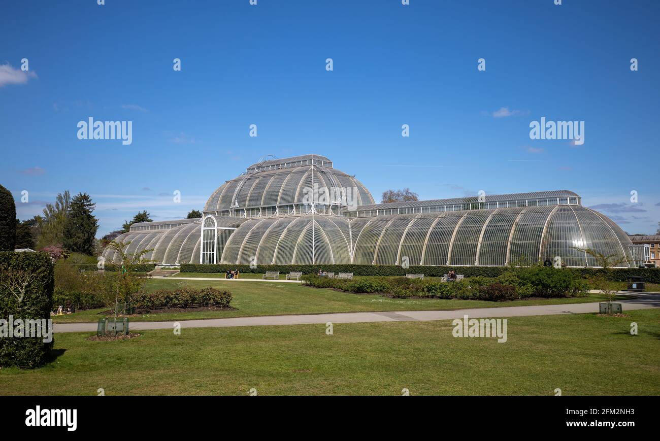 The Palm House à Kew Royal Botanic Gardens, Londres, Royaume-Uni Banque D'Images