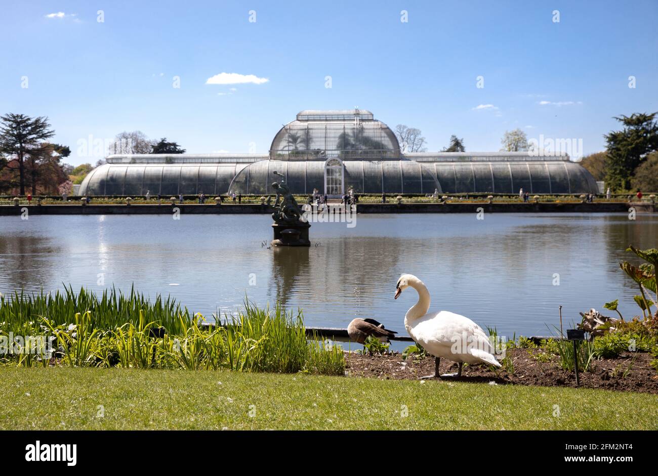 The Palm House à Kew Royal Botanic Gardens, Londres, Royaume-Uni Banque D'Images