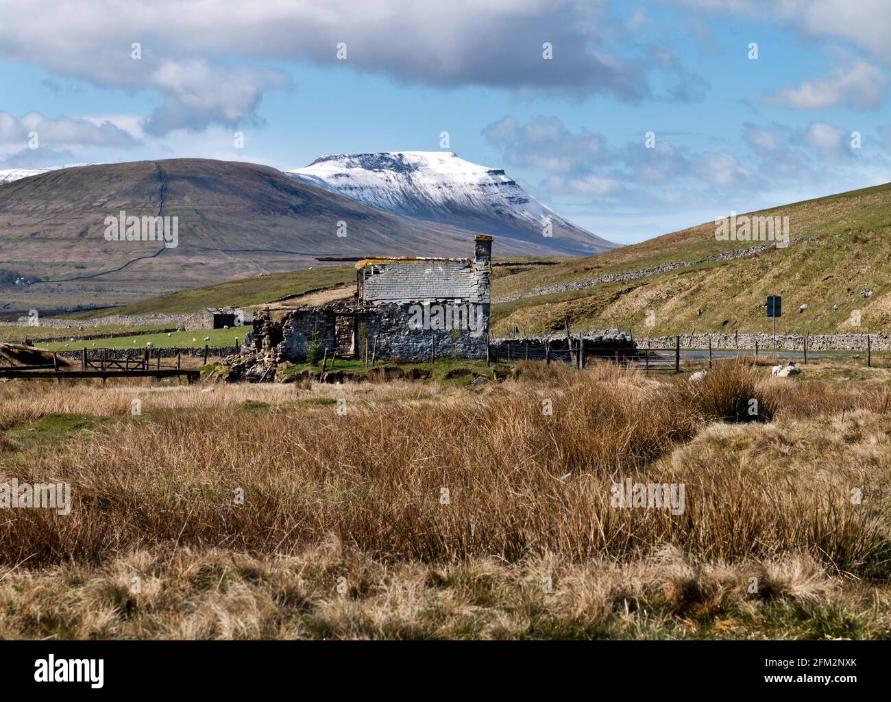 Ingleborough, Yorkshire du Nord. 5 mai 2021. Un matin de neige couvrant pour le sommet d'Ingleborough dans le parc national de Yorkshire Dales, bien qu'il ait été mai. Vue depuis la route de Newby Pass B6255 et montrant une ancienne hutte de tir abandonnée. Crédit : John Bentley/Alay Live News Banque D'Images