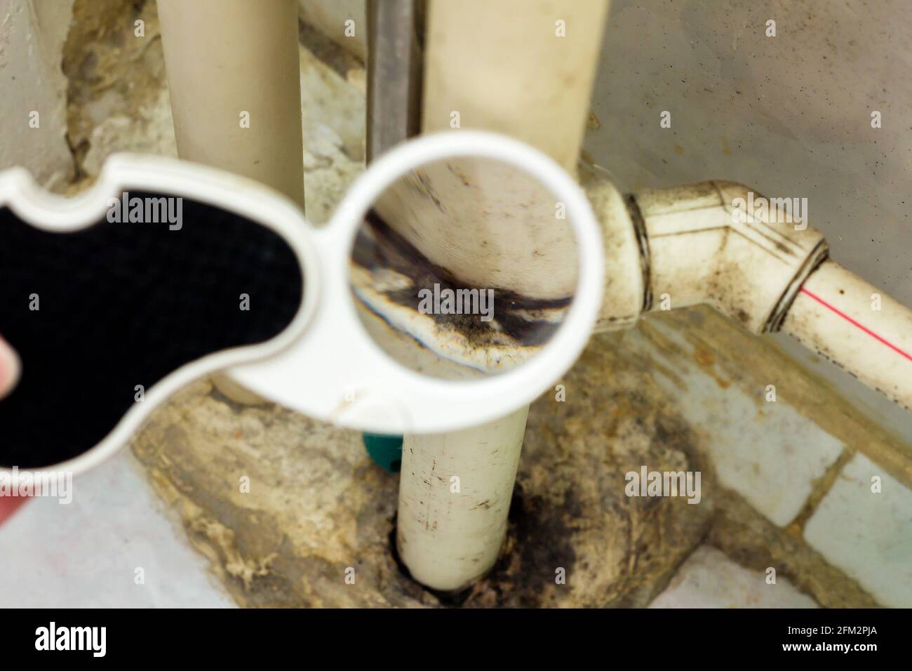 Moule noir sur un tuyau d'eau en plastique à travers une loupe. Banque D'Images