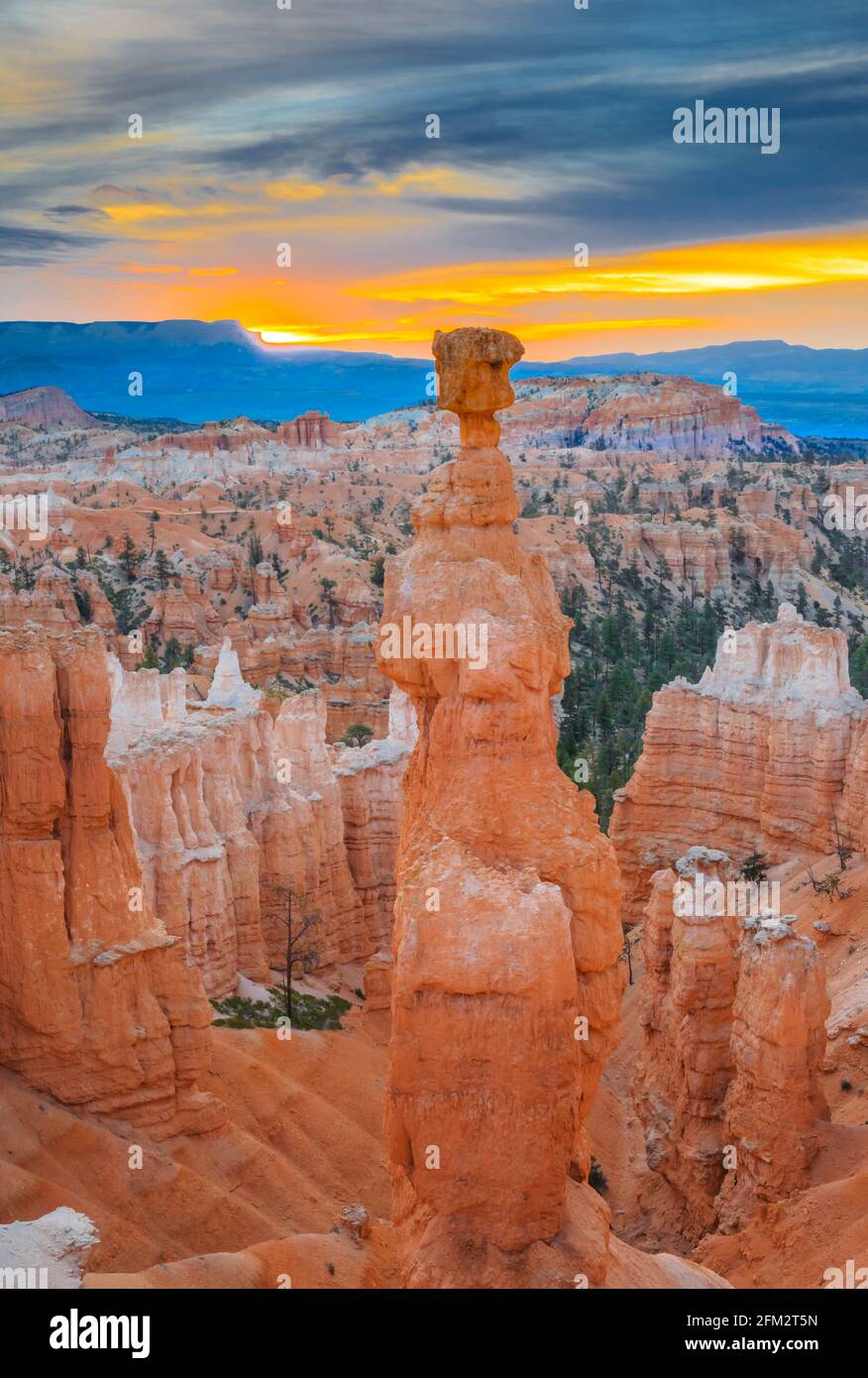 lever de soleil au-dessus des zoos dans le parc national de bryce canyon, utah Banque D'Images