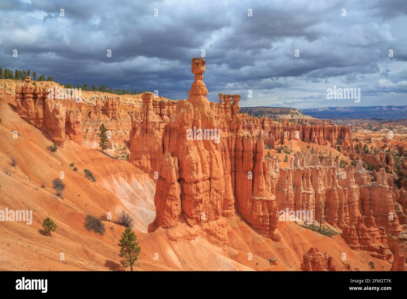 le marteau et les hoodoos de thor dans l'amphithéâtre du parc national de bryce canyon, utah Banque D'Images