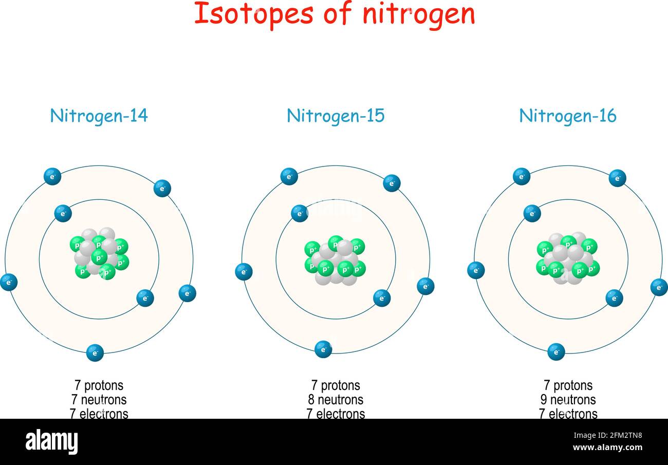 Isotopes de l'azote. Structure de l'atome. Schéma marqué avec des particules (protons, neutrons et électrons). Illustration vectorielle pour la science, l'éducation Illustration de Vecteur