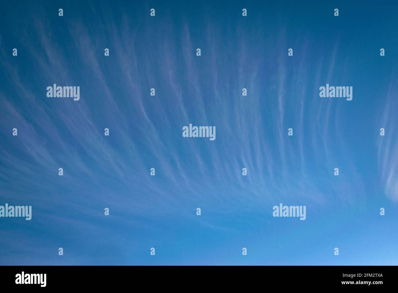 Nuages cirrus de haute altitude sous forme de rayures contre bleu ciel comme arrière-plan Banque D'Images