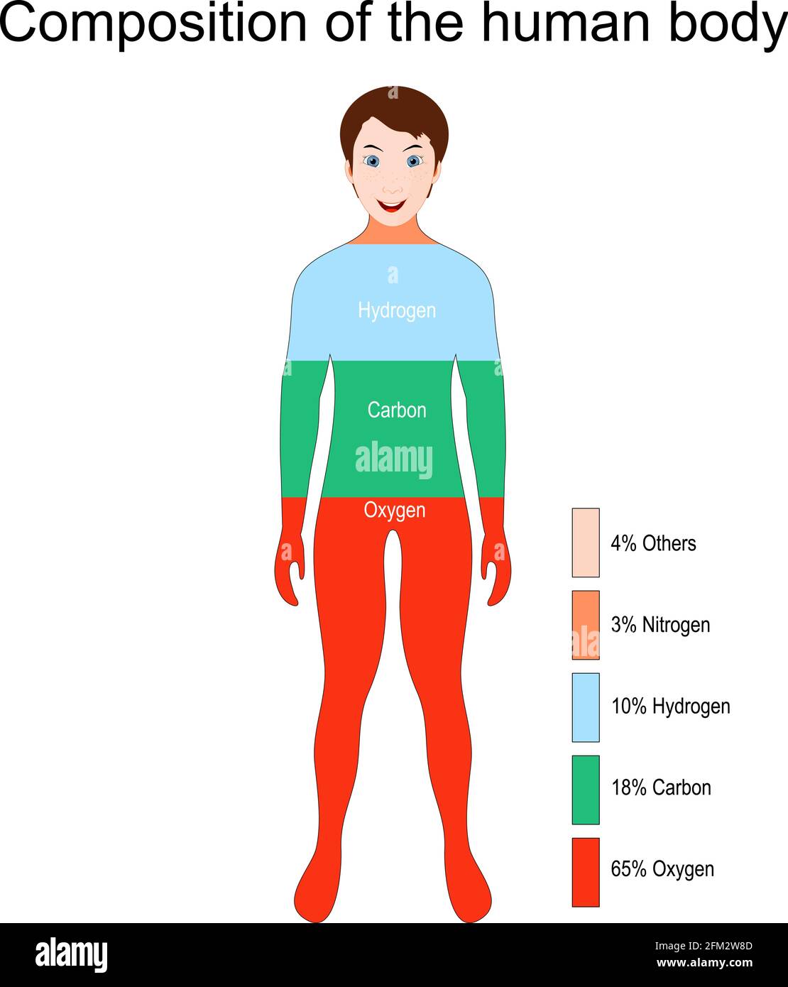 Les principaux éléments qui composent le corps humain (oxygène, carbone, hydrogène et azote). Pourcentage. Illustration vectorielle pour l'éducation Illustration de Vecteur