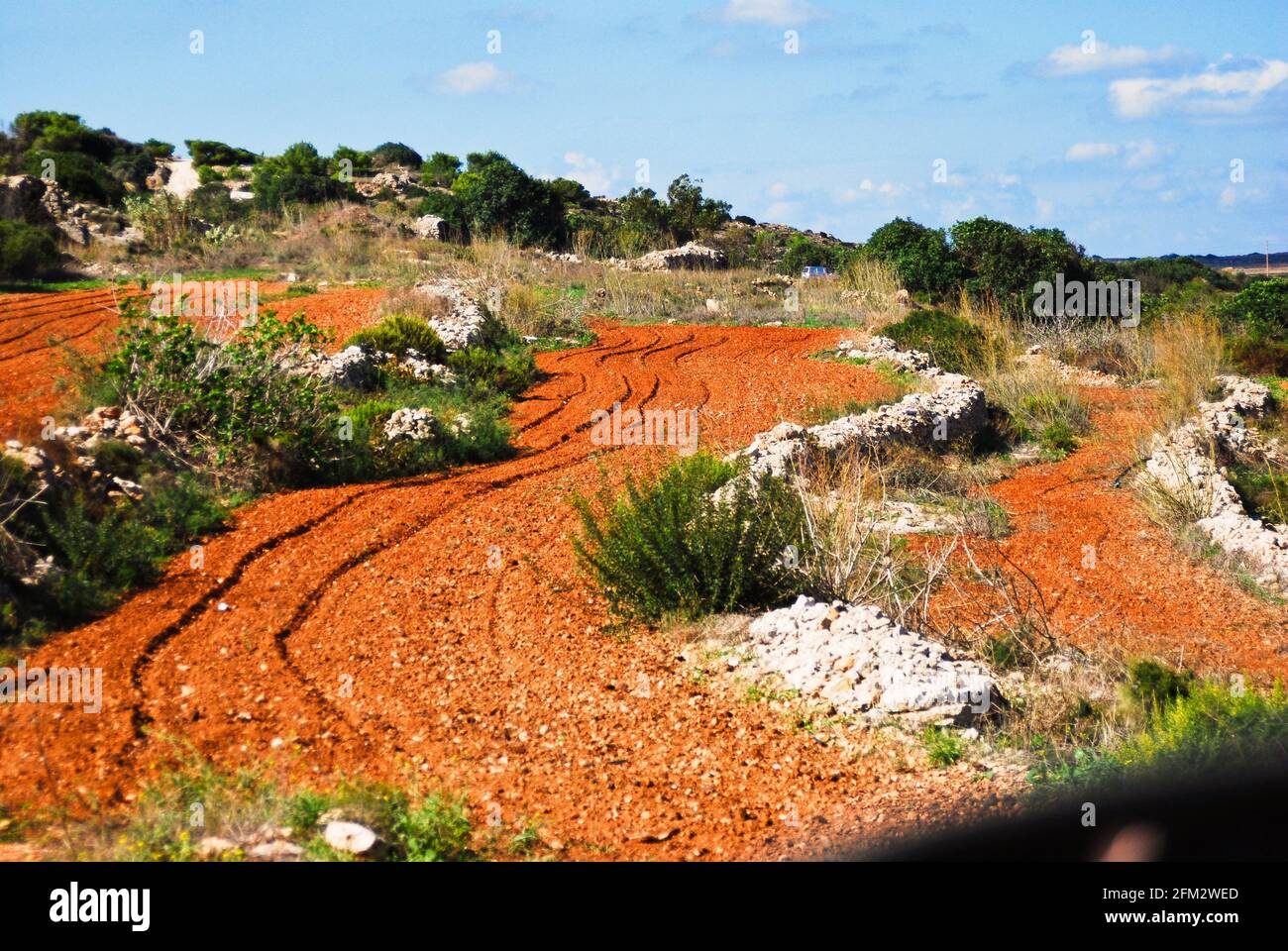 Les champs de terres dans les îles de Malte sont l'un des rares endroits pour l'agriculture Banque D'Images