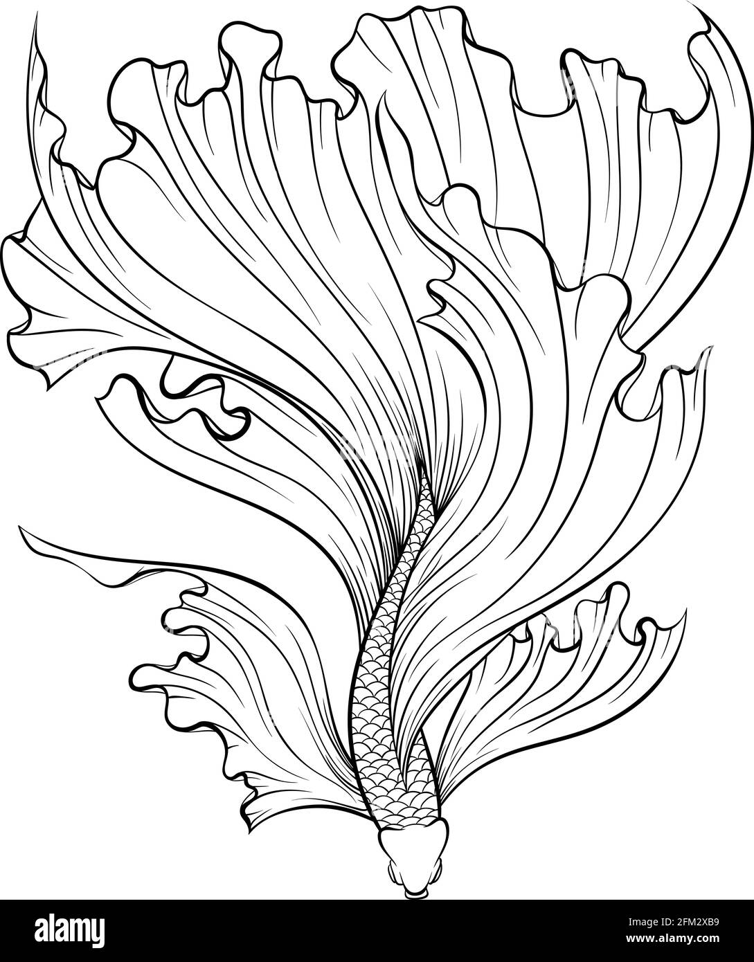 Ligne de poissons de chasse siamois Illustration de Vecteur