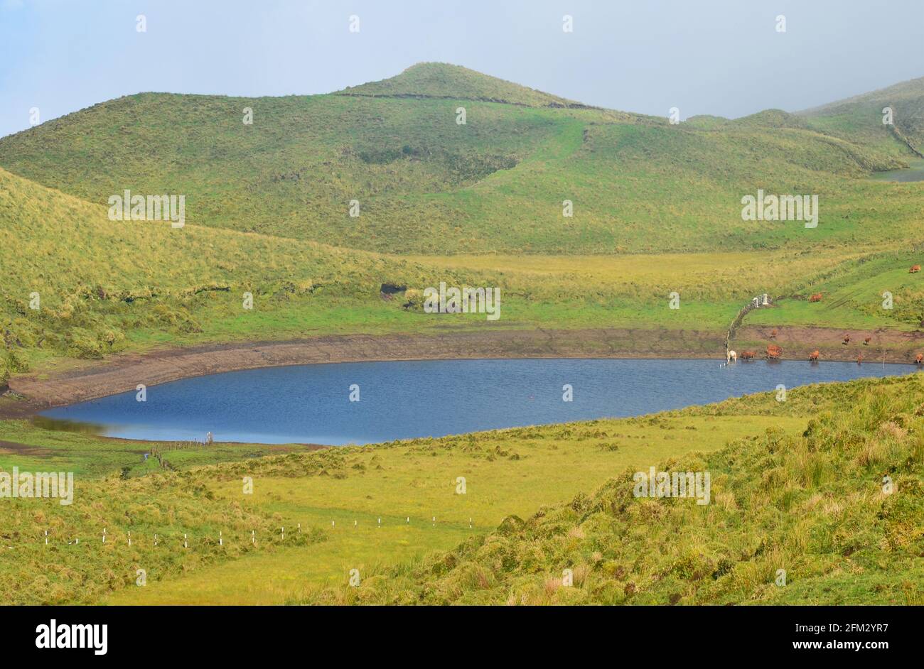 Lagoa do Peixinho dans les hauts plateaux de l'île de Pico, archipel des Açores, Portugal Banque D'Images