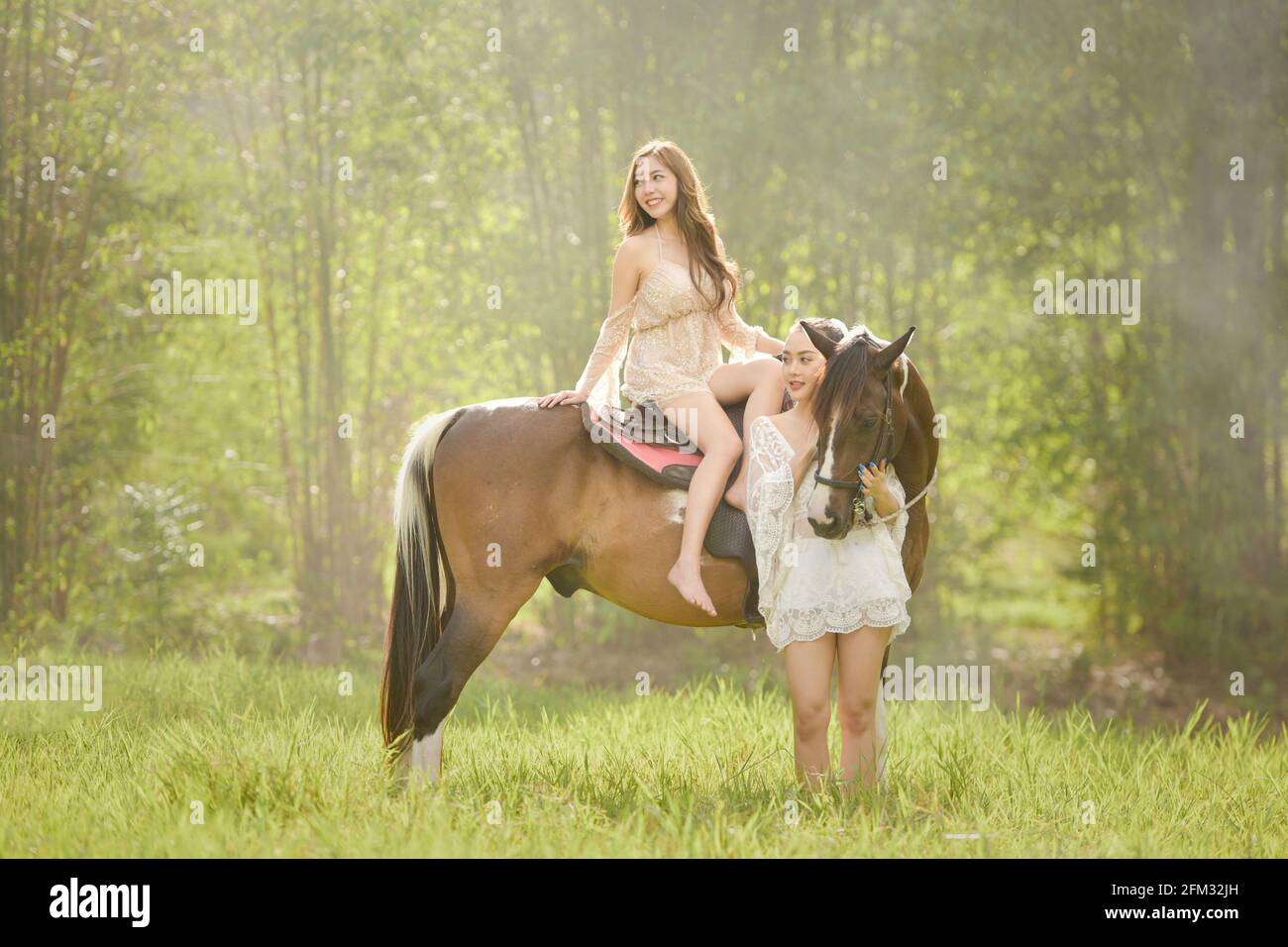 Deux femmes dans un pré avec un cheval, la Thaïlande Banque D'Images