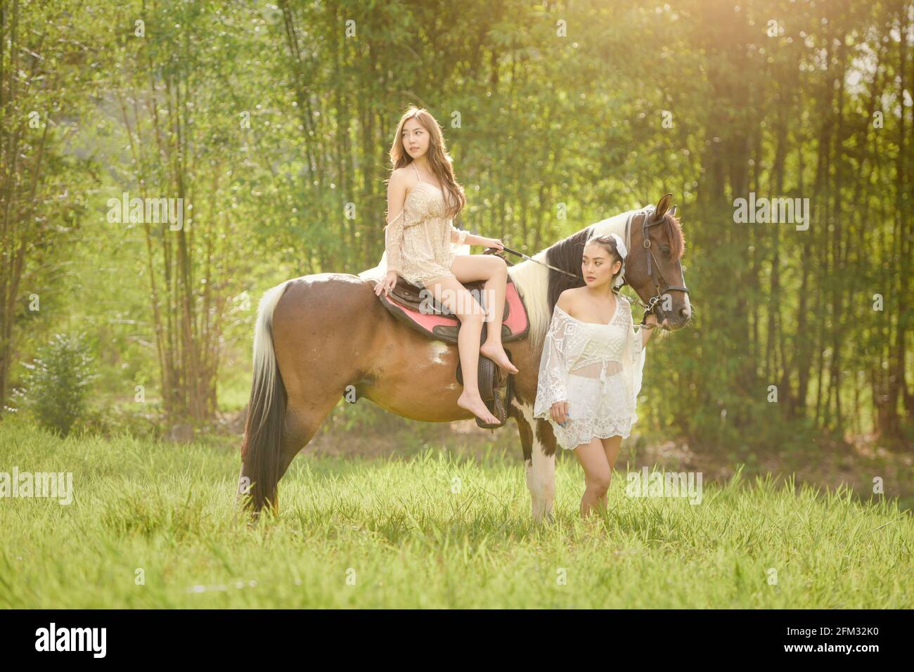 Deux femmes dans un pré avec un cheval, la Thaïlande Banque D'Images