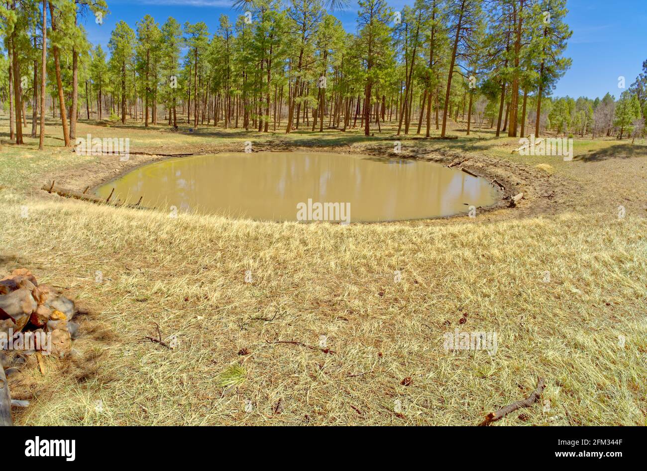 Réservoir de Dry Lake, Mingus Mountain près de Jerome, Arizona, États-Unis Banque D'Images