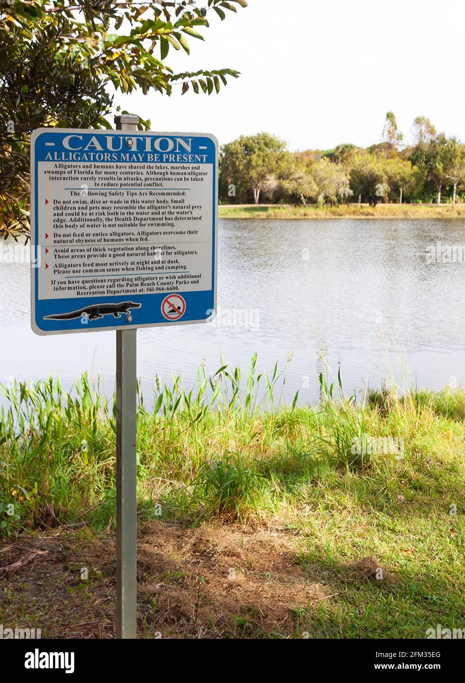 Signe d'avertissement des alligators présents dans un lac en Floride. Banque D'Images