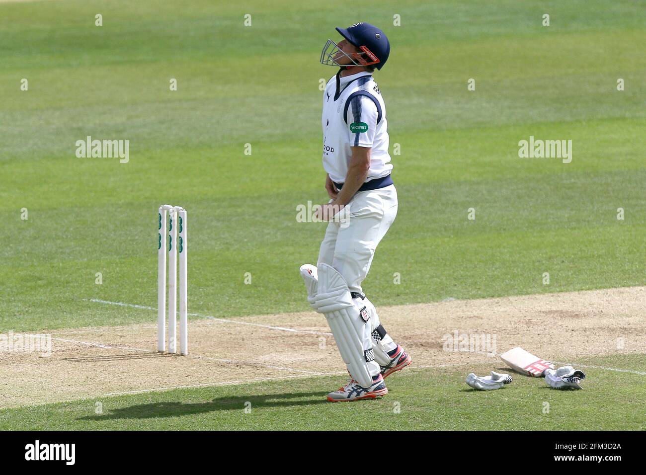 Préoccupation de blessure pour George Bailey du Hampshire après qu'il a pris un coup faible d'une livraison de Jamie porter pendant le CCC d'Essex contre le CCC du Hampshire, Specsavers cou Banque D'Images