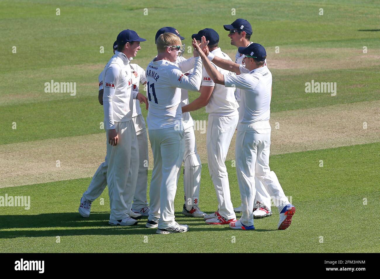 Simon Harmer, d'Essex, est félicité par ses coéquipiers après avoir pris le guichet de Sam Curran lors de la CCC d'Essex contre CCC de Surrey, champ du comté de Specsavers Banque D'Images