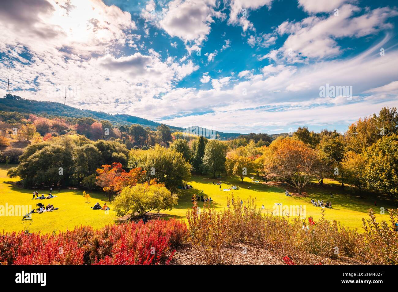 Crafers, Australie méridionale - 17 avril 2021 : personnes ayant pique-nique en famille sur la pelouse dans le parc d'automne, par une journée ensoleillée Banque D'Images