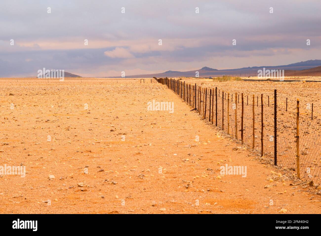Paysage désertique vide avec clôture par jour nuageux en Namibie Banque D'Images