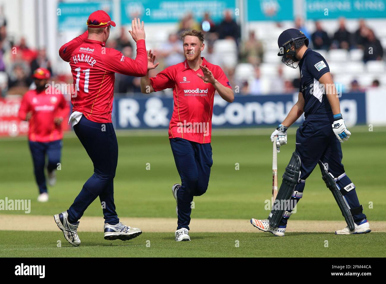 Jamie porter, d'Essex, revendique le cricket de Dawid Malan lors de l ...