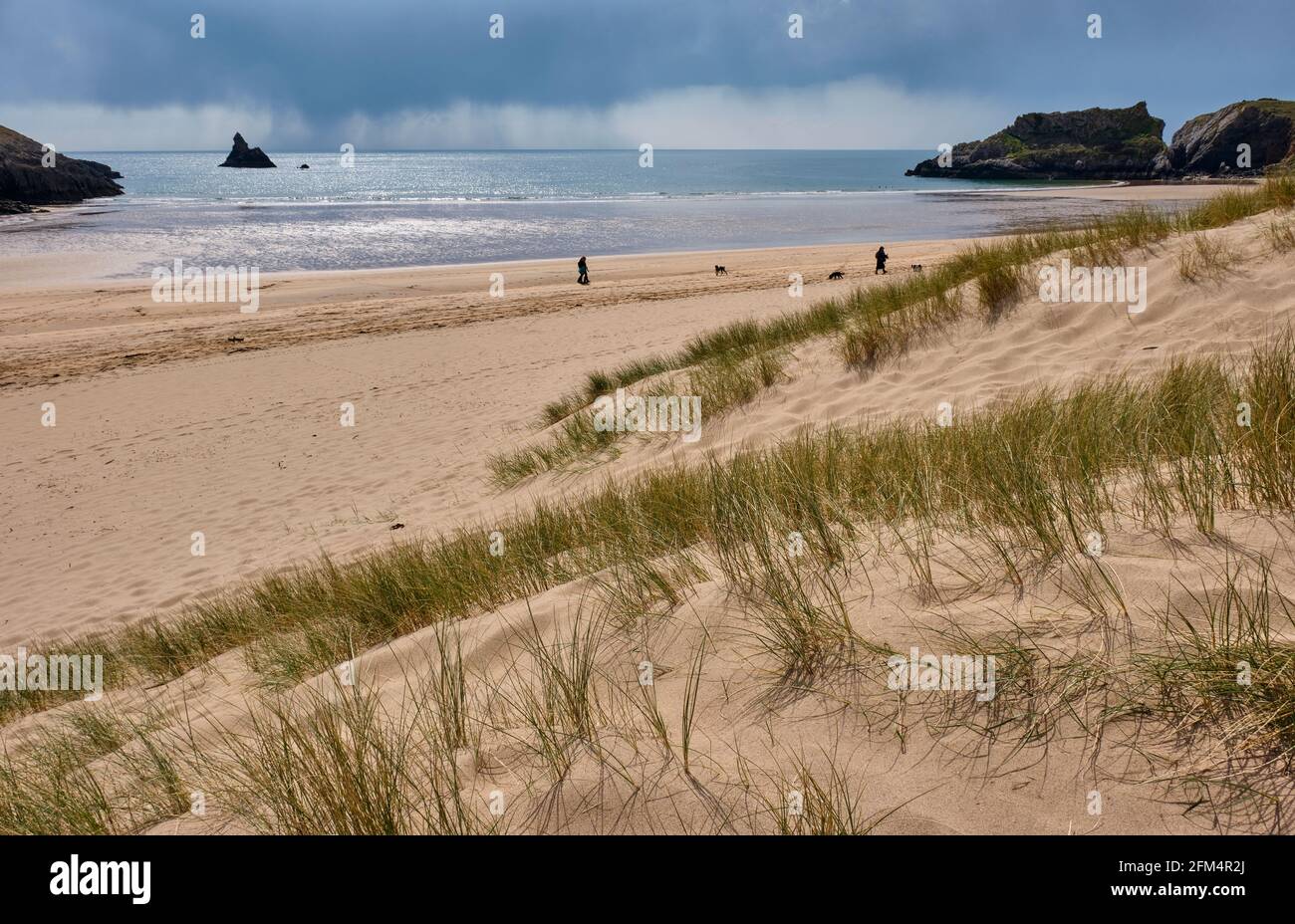 Broad Haven South Beach près de Bosherton, Pembrokeshire, pays de Galles Banque D'Images