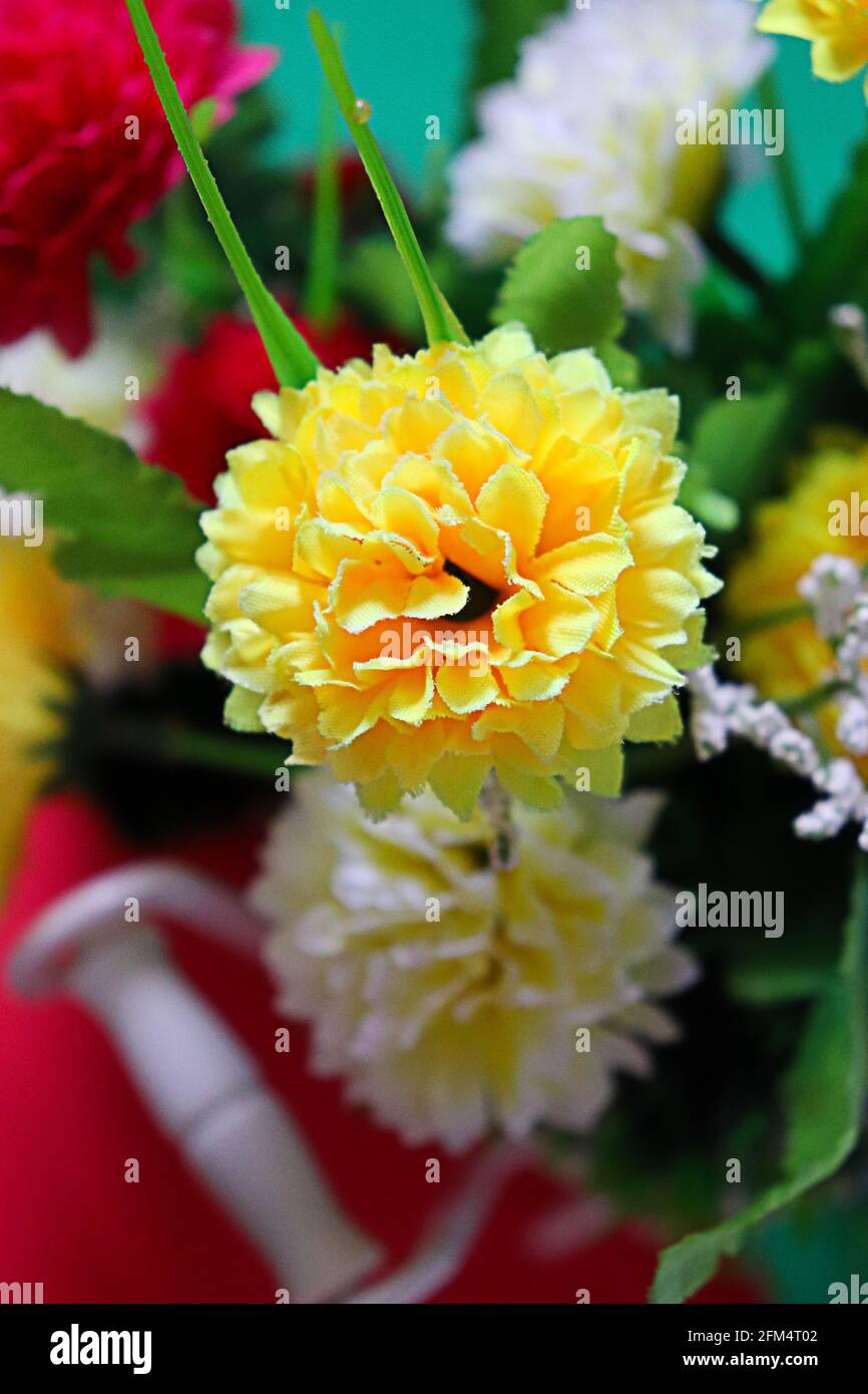 une rose jaune avec un bouquet de roses colorées Banque D'Images